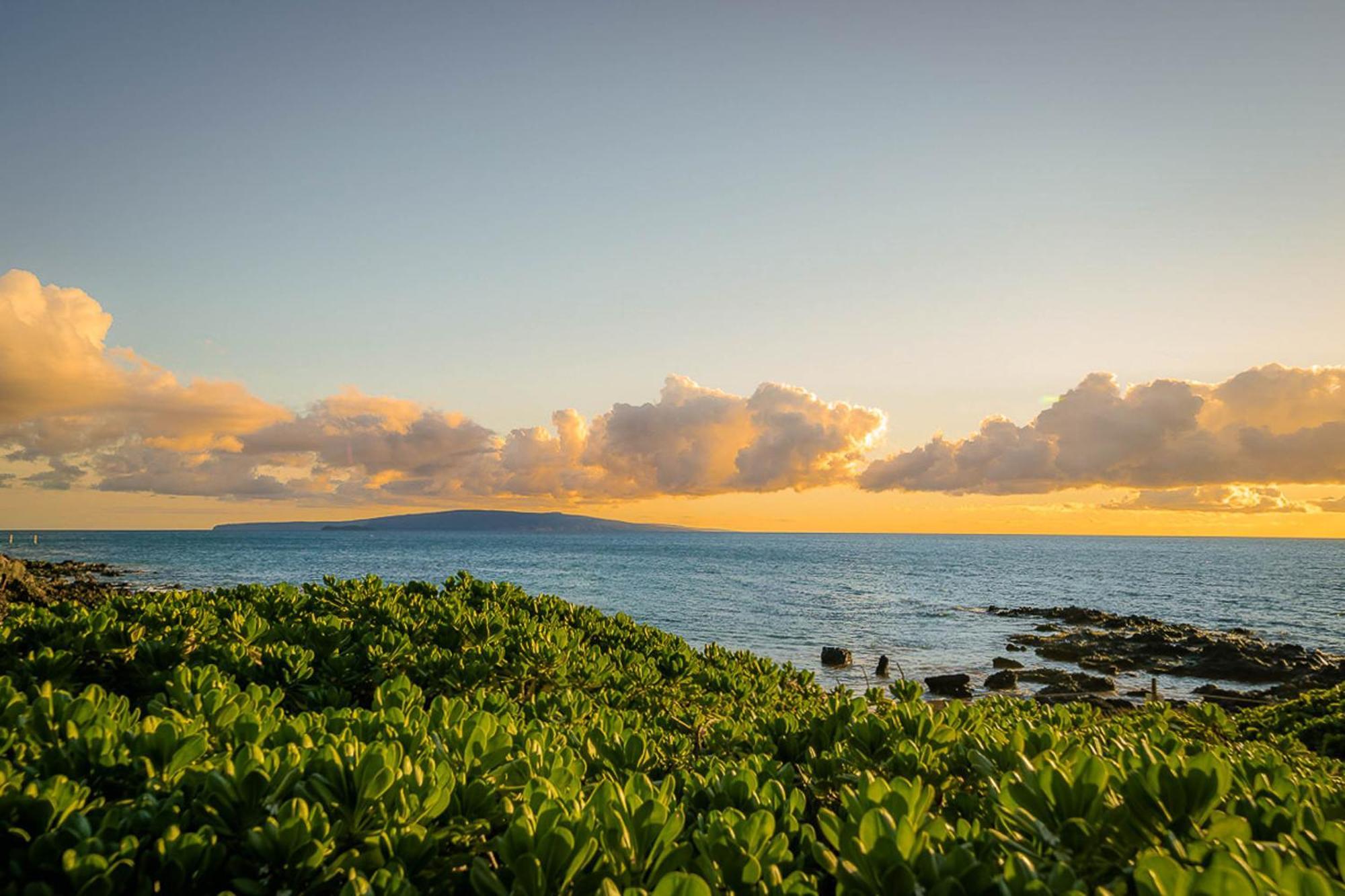 Kihei Akahi C-513 Lejlighed Wailea  Eksteriør billede